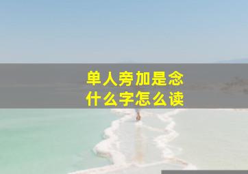 单人旁加是念什么字怎么读