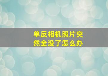 单反相机照片突然全没了怎么办