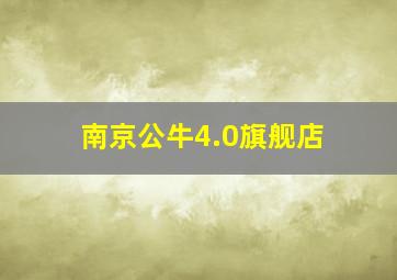 南京公牛4.0旗舰店