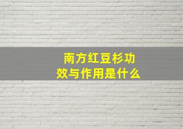 南方红豆杉功效与作用是什么