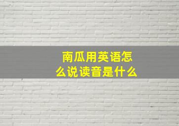 南瓜用英语怎么说读音是什么