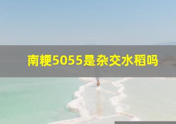 南粳5055是杂交水稻吗