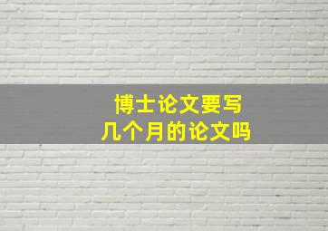 博士论文要写几个月的论文吗