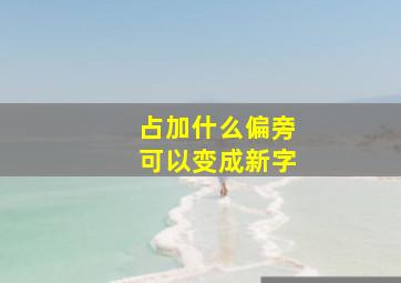 占加什么偏旁可以变成新字