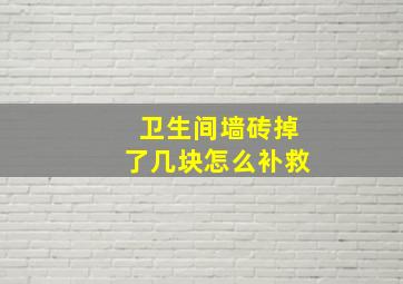 卫生间墙砖掉了几块怎么补救