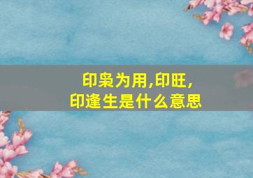 印枭为用,印旺,印逢生是什么意思