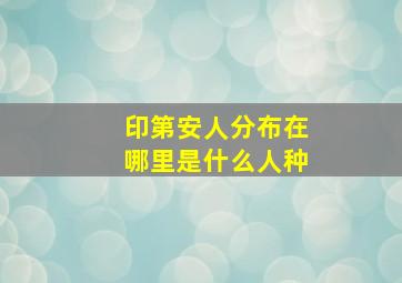 印第安人分布在哪里是什么人种