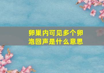 卵巢内可见多个卵泡回声是什么意思