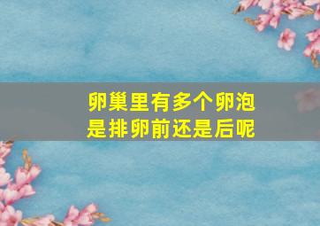 卵巢里有多个卵泡是排卵前还是后呢