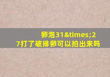 卵泡31×27打了破排卵可以拍出来吗