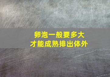 卵泡一般要多大才能成熟排出体外