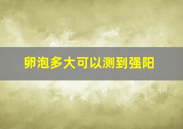 卵泡多大可以测到强阳