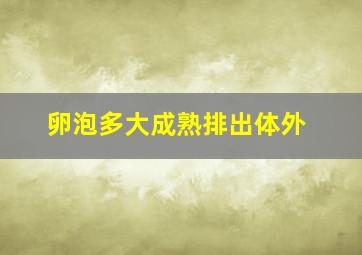 卵泡多大成熟排出体外