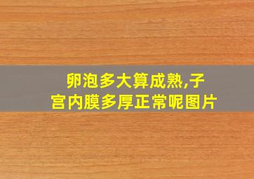 卵泡多大算成熟,子宫内膜多厚正常呢图片