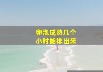 卵泡成熟几个小时能排出来