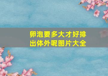 卵泡要多大才好排出体外呢图片大全