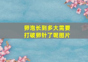 卵泡长到多大需要打破卵针了呢图片