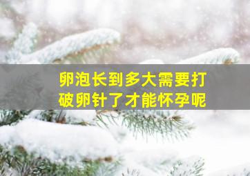 卵泡长到多大需要打破卵针了才能怀孕呢