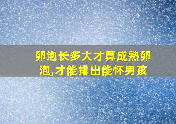 卵泡长多大才算成熟卵泡,才能排出能怀男孩