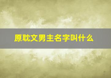 原耽文男主名字叫什么