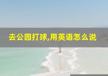 去公园打球,用英语怎么说