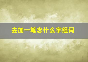 去加一笔念什么字组词