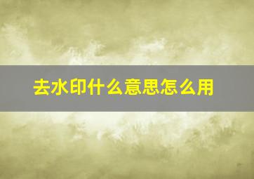 去水印什么意思怎么用