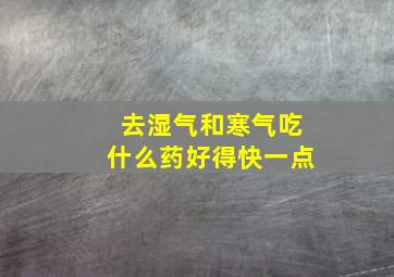 去湿气和寒气吃什么药好得快一点