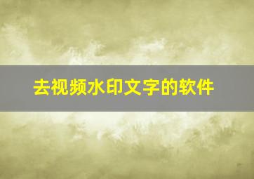 去视频水印文字的软件