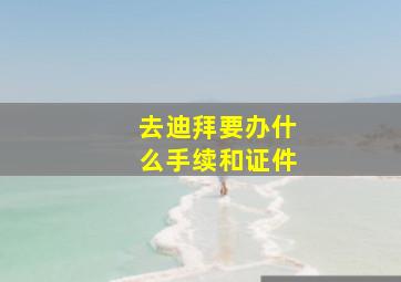 去迪拜要办什么手续和证件