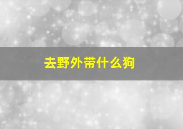 去野外带什么狗