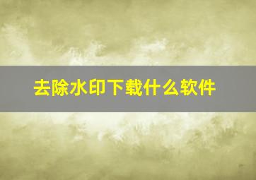 去除水印下载什么软件