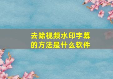 去除视频水印字幕的方法是什么软件