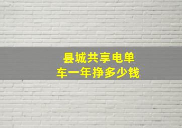 县城共享电单车一年挣多少钱