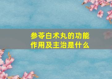 参苓白术丸的功能作用及主治是什么