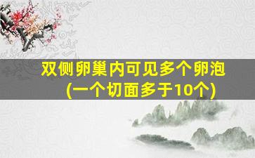 双侧卵巢内可见多个卵泡(一个切面多于10个)