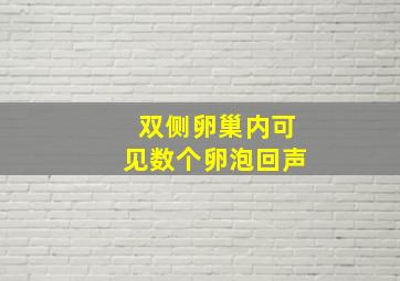 双侧卵巢内可见数个卵泡回声