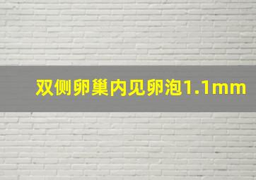 双侧卵巢内见卵泡1.1mm