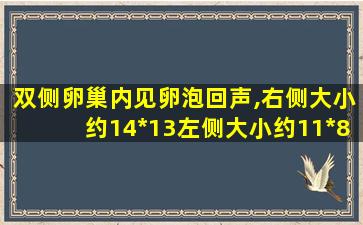 双侧卵巢内见卵泡回声,右侧大小约14*13左侧大小约11*8