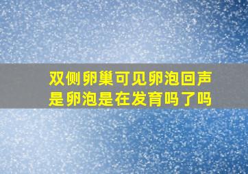 双侧卵巢可见卵泡回声是卵泡是在发育吗了吗