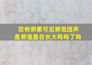 双侧卵巢可见卵泡回声是卵泡是在长大吗吗了吗