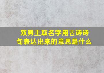 双男主取名字用古诗诗句表达出来的意思是什么