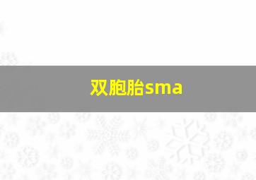 双胞胎sma