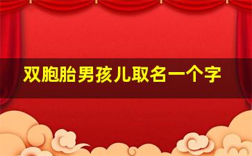 双胞胎男孩儿取名一个字