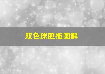 双色球胆拖图解