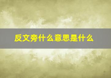 反文旁什么意思是什么