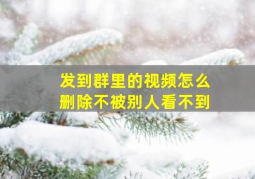 发到群里的视频怎么删除不被别人看不到