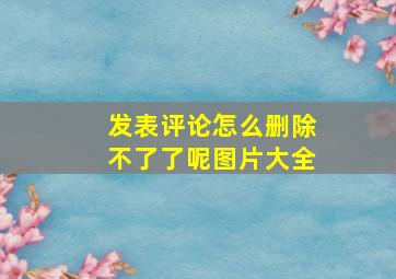 发表评论怎么删除不了了呢图片大全