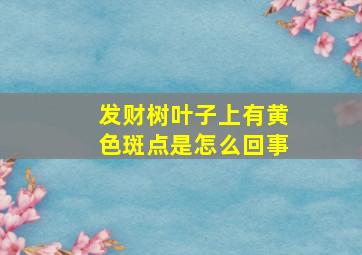 发财树叶子上有黄色斑点是怎么回事