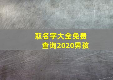 取名字大全免费查询2020男孩